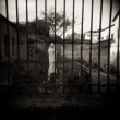 5  sito holga port alta def076